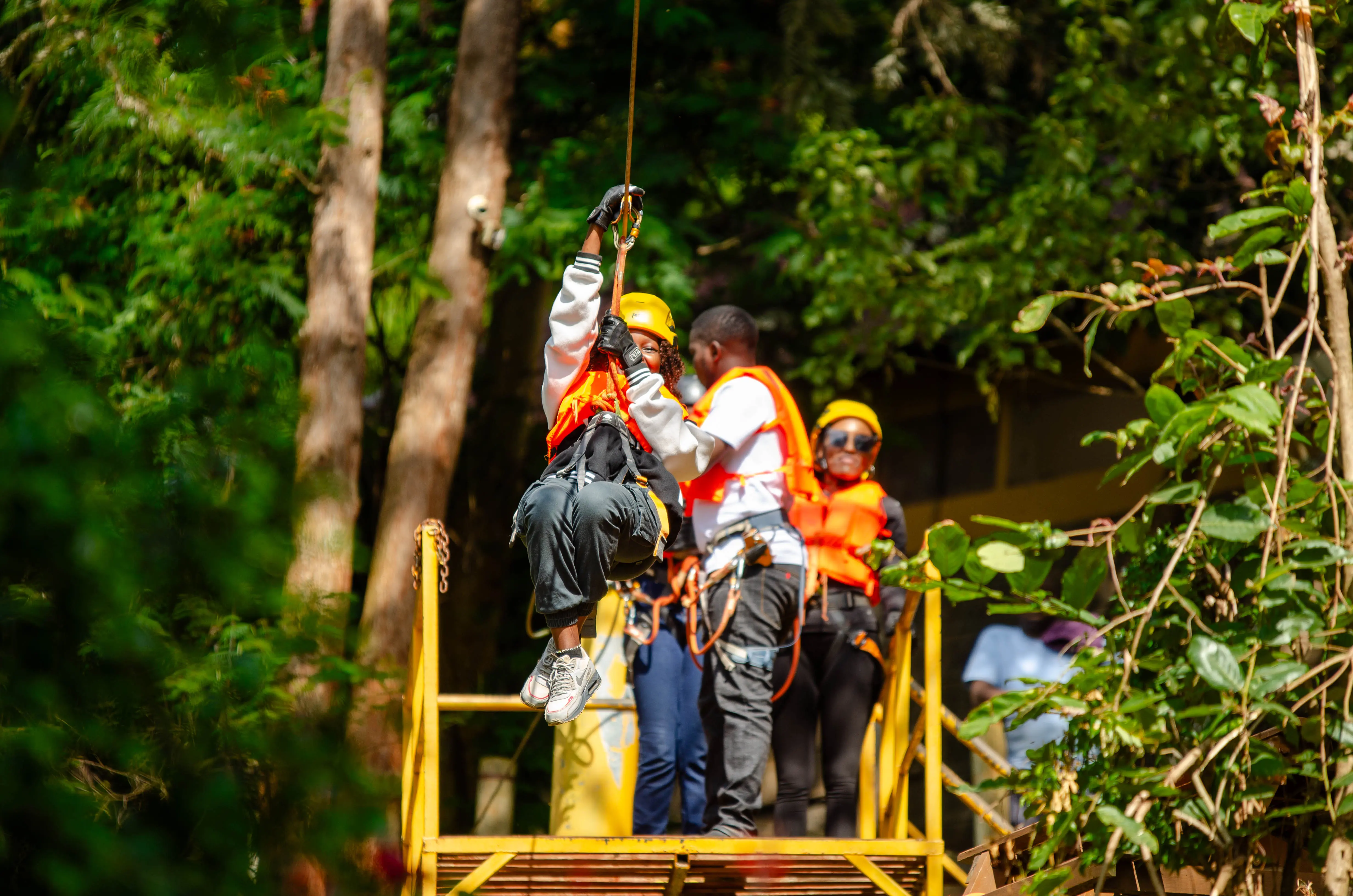 Zipline Through Trees